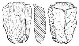 চিত্র:Prehistory12.jpg