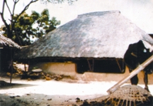 চিত্র:OraoHome.jpg