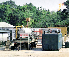 চিত্র:MineralResourcesGasfield.jpg