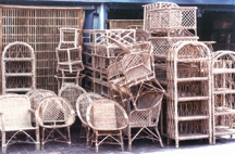 চিত্র:Cane2.jpg