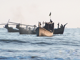 চিত্র:FisheriesSea4.jpg