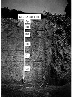 চিত্র:SoilProfile.jpg