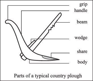 চিত্র:PloughEnglish1.jpg