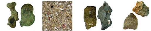 চিত্র:Rocks&Minerals1.jpg