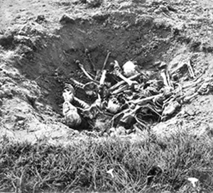 চিত্র:GenocideShiyalbari1971 .jpg