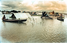 চিত্র:Flood4.jpg