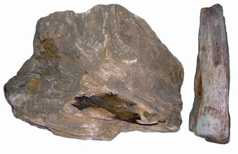 চিত্র:RocksAndMinerals6.jpg