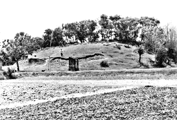 চিত্র:HaludViharaNaogaon.jpg