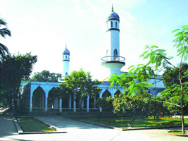 চিত্র:UniversityDhakaCentralMosque.jpg