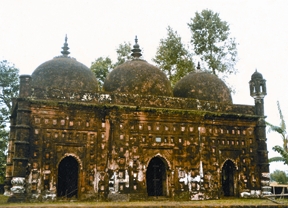 চিত্র:NayabadMosque.jpg