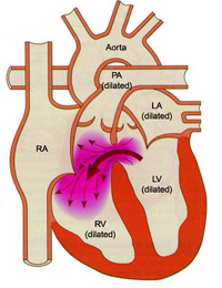 চিত্র:Health&HealthSciences.jpg