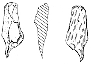 চিত্র:Prehistory09.jpg