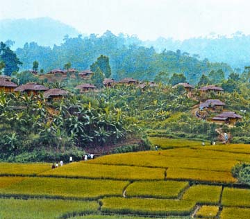 চিত্র:ChittagongHillTracts2.jpg