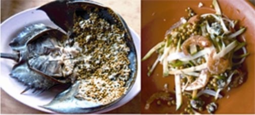 চিত্র:KingCrab2.jpg