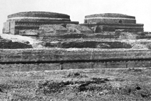 চিত্র:KutilaMuraComllia.jpg