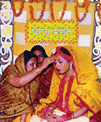 চিত্র:GayeHalud.jpg