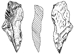 চিত্র:Prehistory13.jpg