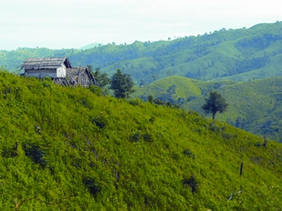 চিত্র:HillForst.jpg