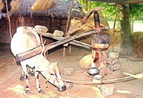 চিত্র:Ghani.jpg