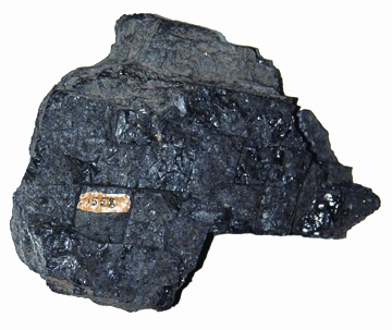 চিত্র:RocksAndMinerals13.jpg