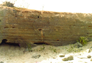 চিত্র:CoquinaHorizon.jpg