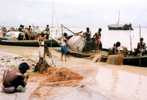 চিত্র:FishingCommunity.jpg