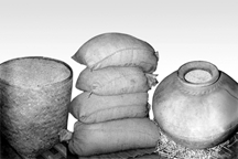 চিত্র:GrainStorage.jpg