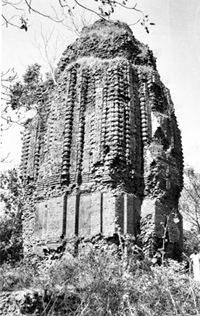 চিত্র:Architecture25.jpg
