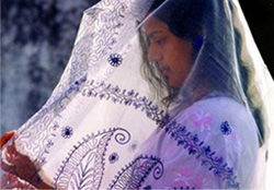 চিত্র:Muslin1.jpg
