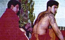 চিত্র:Ulki.jpg