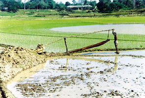 চিত্র:IrrigationDoon.jpg