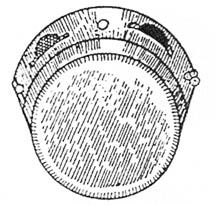 চিত্র:Khanjari.jpg