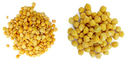 চিত্র:Pulse03.jpg