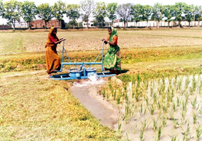 চিত্র:IrrigationDiaphragmPump.jpg