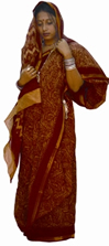চিত্র:Sari4.jpg