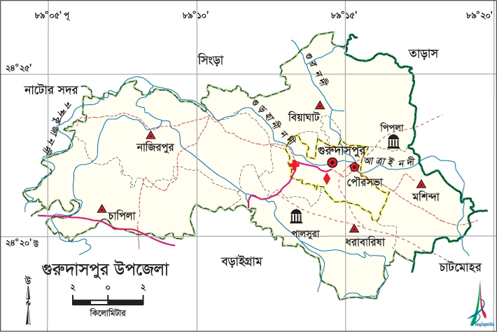 চিত্র:GurudaspurUpazila.jpg