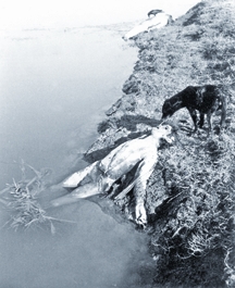চিত্র:GenocideRayerBazar.jpg