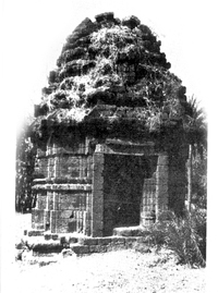 চিত্র:Architecture32.jpg