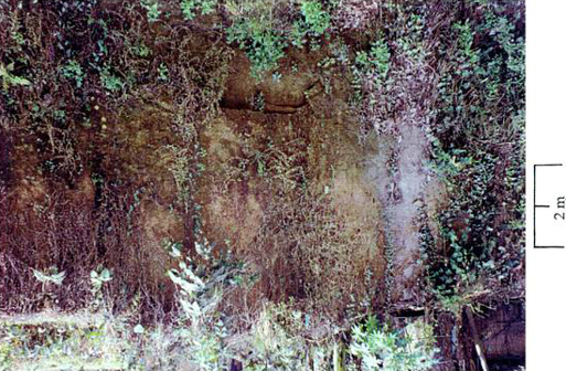 চিত্র:Fault3.jpg