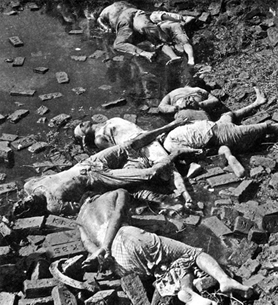 চিত্র:KillingOfIntellectuals.jpg
