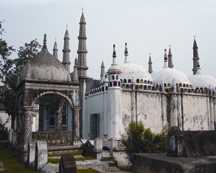চিত্র:DhanbariMosque.jpg