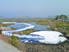 চিত্র:EnvironmentPollution2.jpg