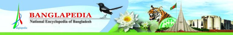 চিত্র:Banglapedia logo banner english.jpg